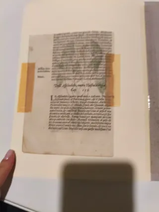 Xilografia acquerellata a mano del '500