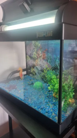 Acuario 60L + Accesorios Accesorios kit de inicia