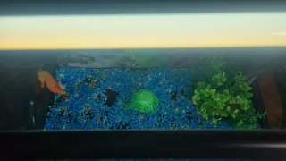 Acuario 60L + Accesorios Accesorios kit de inicia