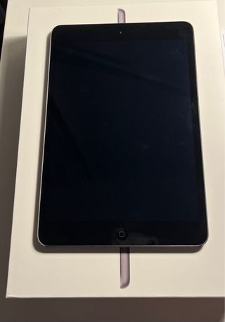 Apple iPad mini