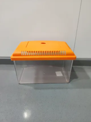 PEQUEÑA PECERA / ACUARIO