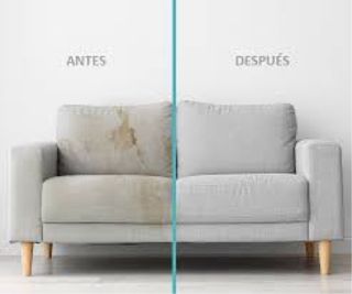 Lavado de tapizados