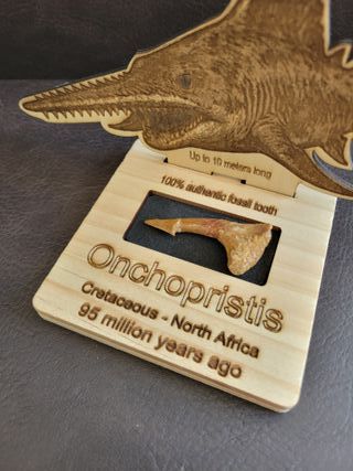 Fósil Onchopristis con expositor