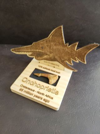 Fósil Onchopristis con expositor