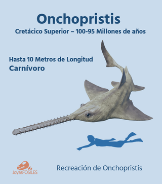 Fósil Onchopristis con expositor