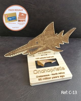 Fósil Onchopristis con expositor