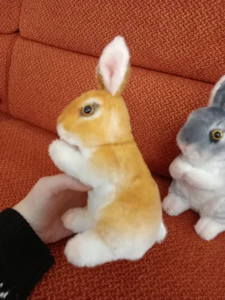 Set 2 conigli peluche decorativi