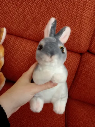 Set 2 conigli peluche decorativi