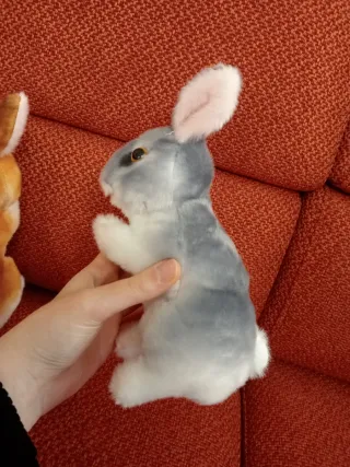 Set 2 conigli peluche decorativi