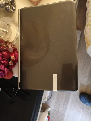 Portátil Packard bell Marrón/Plateado/blanco