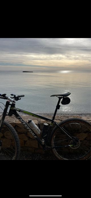 Bicicleta Montaña Cannondale F29, carbono.