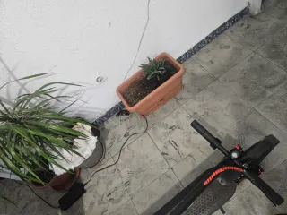 Patinete Eléctrico Xiaomi Pro 2