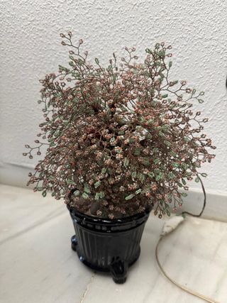 Precioso Bonsái decoratívo con luz.