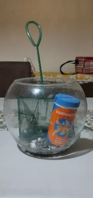 Kit Aquário Peixes Completo