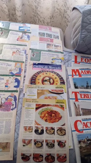 30 fascículos + 9 cartulinas colección