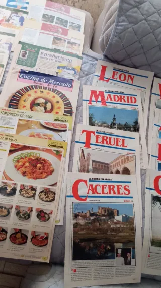 30 fascículos + 9 cartulinas colección