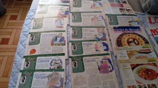 30 fascículos + 9 cartulinas colección