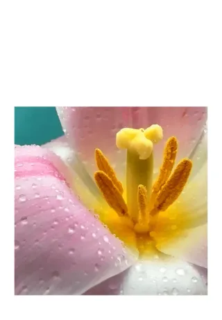 Xiaomi Redmi 12 4GB 128GB Azul