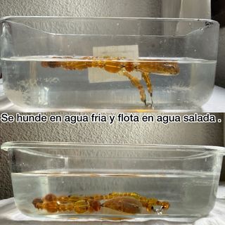 Collar de ámbar con colgante