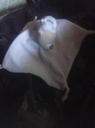 Peluches Dormilones Bebé