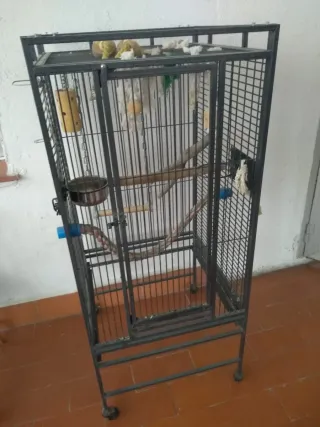 Jaula Loro 65x65x110 cm