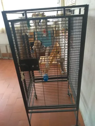 Jaula Loro 65x65x110 cm