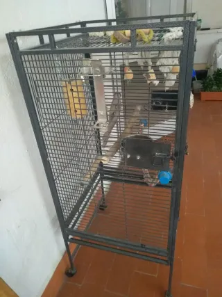 Jaula Loro 65x65x110 cm
