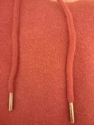 Sudadera Champion Authentic con capucha