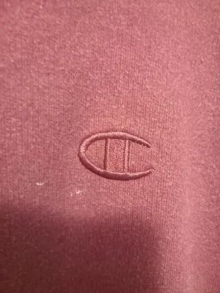 Sudadera Champion Authentic con capucha