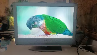 Sony Bravia 32 + Chromecast 3