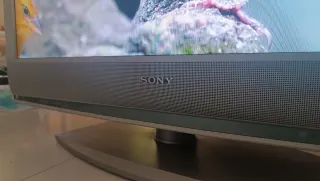 Sony Bravia 32 + Chromecast 3