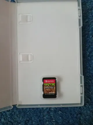 Minecraft Nintendo Switch