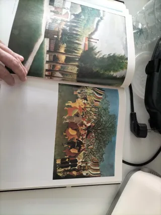 obra pictórica completa de Rousseau  el aduanero