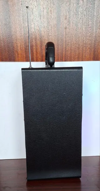 Altavoz radio Karaoke Samphone con Luces LED