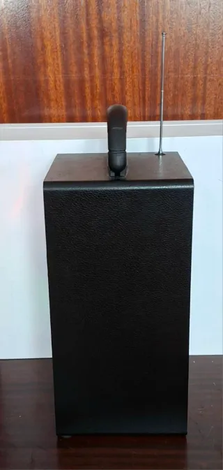 Altavoz radio Karaoke Samphone con Luces LED