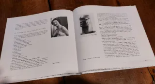 Citroën DS, Libro su Flaminio Bertoni