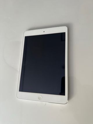 iPad Mini 2 A1489 Argento