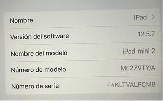 iPad Mini 2 A1489 Argento