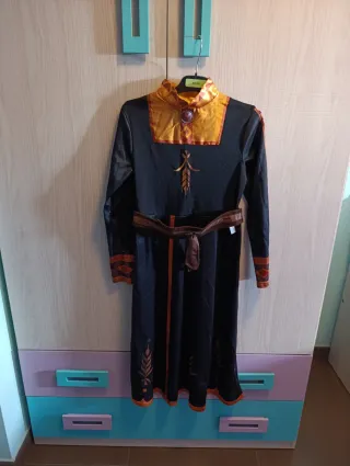 Disfraz Princesa Ana Frozen Talla 9-10