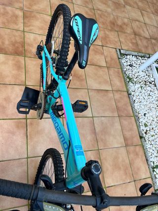 Bicicleta de montaña Megamo