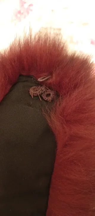 Cuello de pelo marrón burdeos