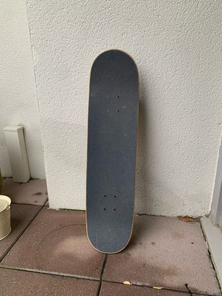 Patineta Oso Decathlon