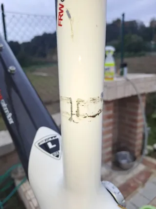 Telaio Carbonio FRW