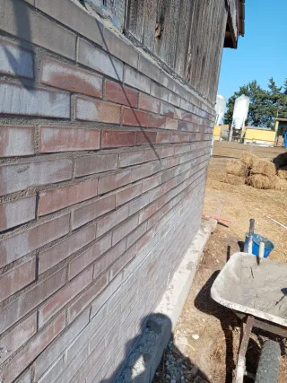 Me ofrezco para trabajo  de paleta  me llamo Carlo