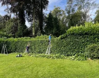 Servicio de jardinería