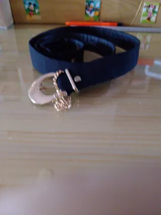 Cinturónes varios modelos .  Varios modelos.