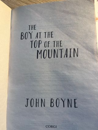 Boy At the Top of the Mountain