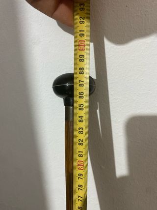 Bastón de caballero antiguo