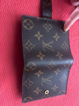 Organizer Louis Vuitton Mini