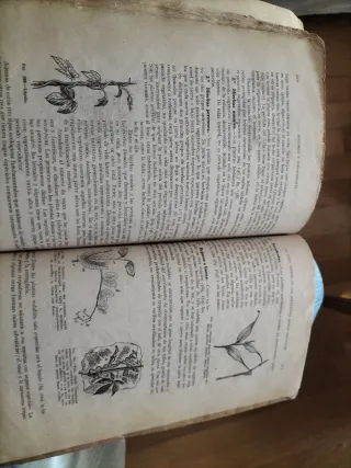 Libro biología general ecología y vio geografía